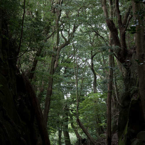 宮崎の風景