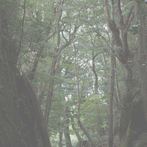 宮崎の風景