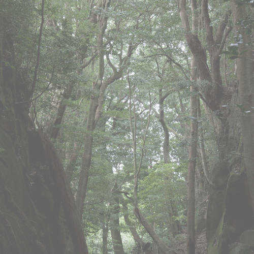 宮崎の風景