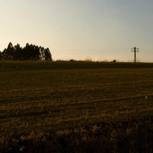 大分の風景