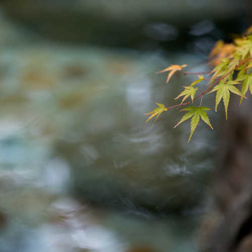 岡山の温泉