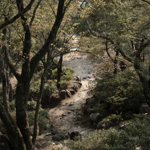 大分の風景