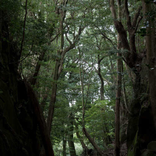 宮崎の風景