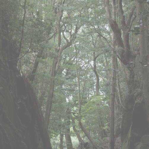 宮崎の風景